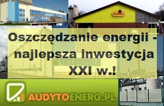 Zamw audyt energetyczny przedsibiorstwa